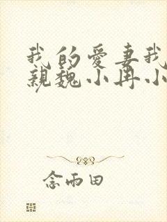 我的爱妻我的父亲魏小冉小说