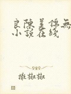良陈美锦无删减小说在线