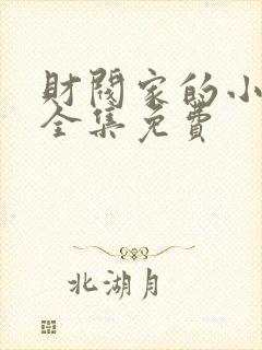 财阀家的小儿子全集免费