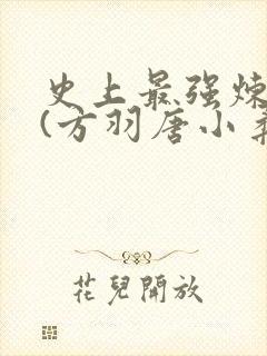 史上最强炼气期(方羽唐小柔)