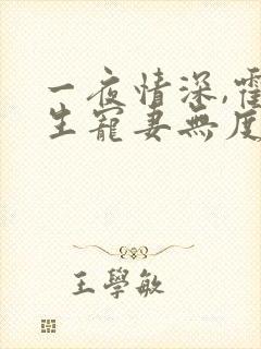 一夜情深,霍先生宠妻无度小说看