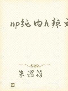 np纯肉h辣文