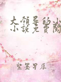 大领导的小妻子小说免费阅读