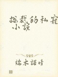 总裁的私宠甜妻 小说