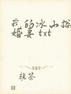 我的冰山总裁未婚妻 txt