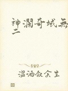 神澜奇域无双珠二