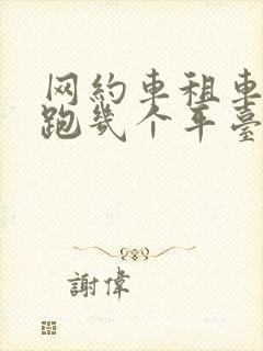 网约车租车可以跑几个平台