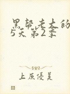 黑帮老大的365天第2季