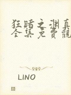 狂赌之渊真人版全集免费观看