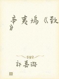 辛夷坞《致青春》