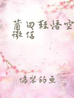 莆田鞋悟空鞋贸微信