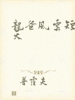 龙爸风云短剧林天