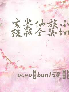 玄鉴仙族小说精校版全集txt