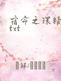 宿命之环精校版txt