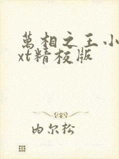 万相之王小说txt精校版