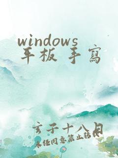 windows平板 手写