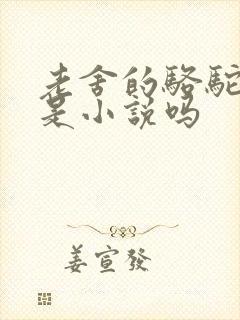 老舍的骆驼祥子是小说吗