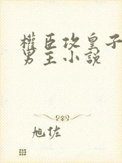 权臣攻皇子受双男主小说