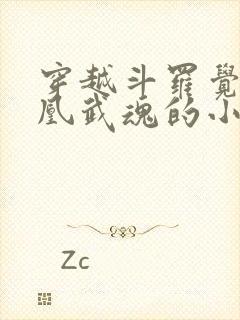 穿越斗罗觉醒凤凰武魂的小说