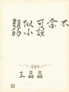 类似可念不可说的小说