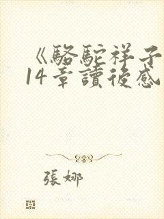 《骆驼祥子》第14章读后感100字