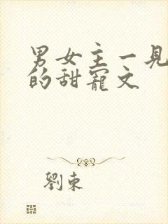 男女主一见钟情的甜宠文