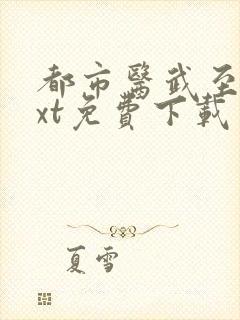 都市医武至尊txt免费下载