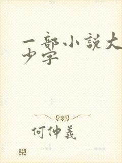 一部小说大概多少字