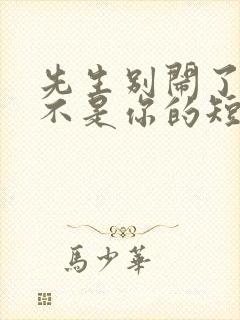 先生别闹了新娘不是你的短剧播放