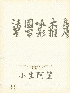 法国啄木鸟满天星电影推荐