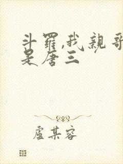 斗罗,我亲哥竟是唐三