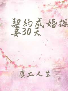 契约成婚总裁宠妻30天