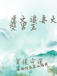 虐文追妻火葬场双男主