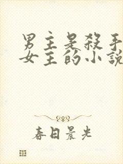 男主是杀手爱上女主的小说