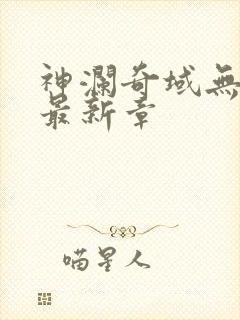 神澜奇域无双珠最新章