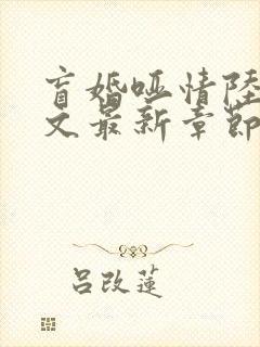 盲婚哑情陆彻全文最新章节免费阅读