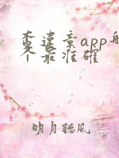 查违章app哪个最准确