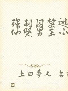 强制囚禁逃跑修仙双男主小说