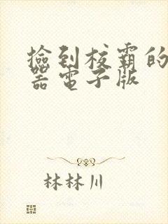 捡到校霸的遥控器电子版