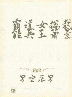 霸道女总裁的全能兵王萧晨