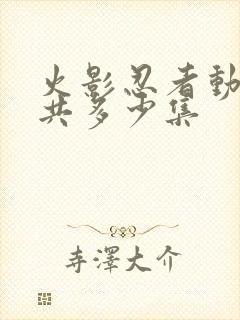 火影忍者动漫一共多少集