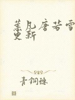 叶凡唐若雪王婿更新