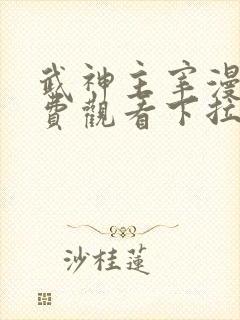 武神主宰漫画免费观看下拉式六漫画