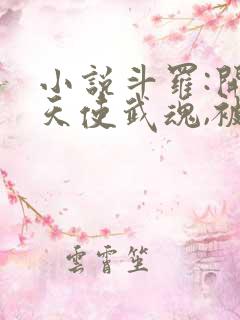 小说斗罗:开局天使武魂,被唐昊追杀免费