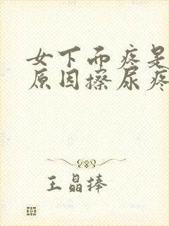 女下面疼是什么原因擦尿疼