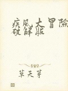 疾风大冒险游戏破解版