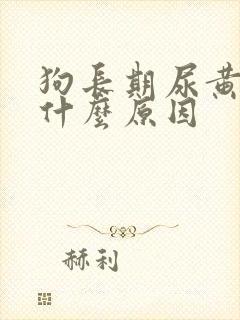 狗长期尿黄尿是什么原因