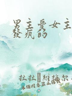 男主爱女主爱到发疯的