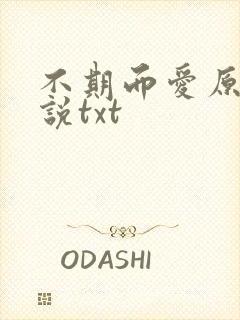 不期而爱原著小说txt