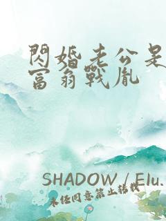 闪婚老公是亿万富翁战胤